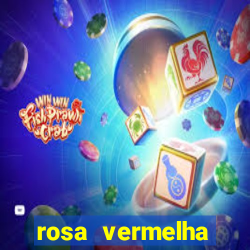 rosa vermelha (letra e cifra)